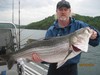 (06/08/2015) - Nice Striped Bass